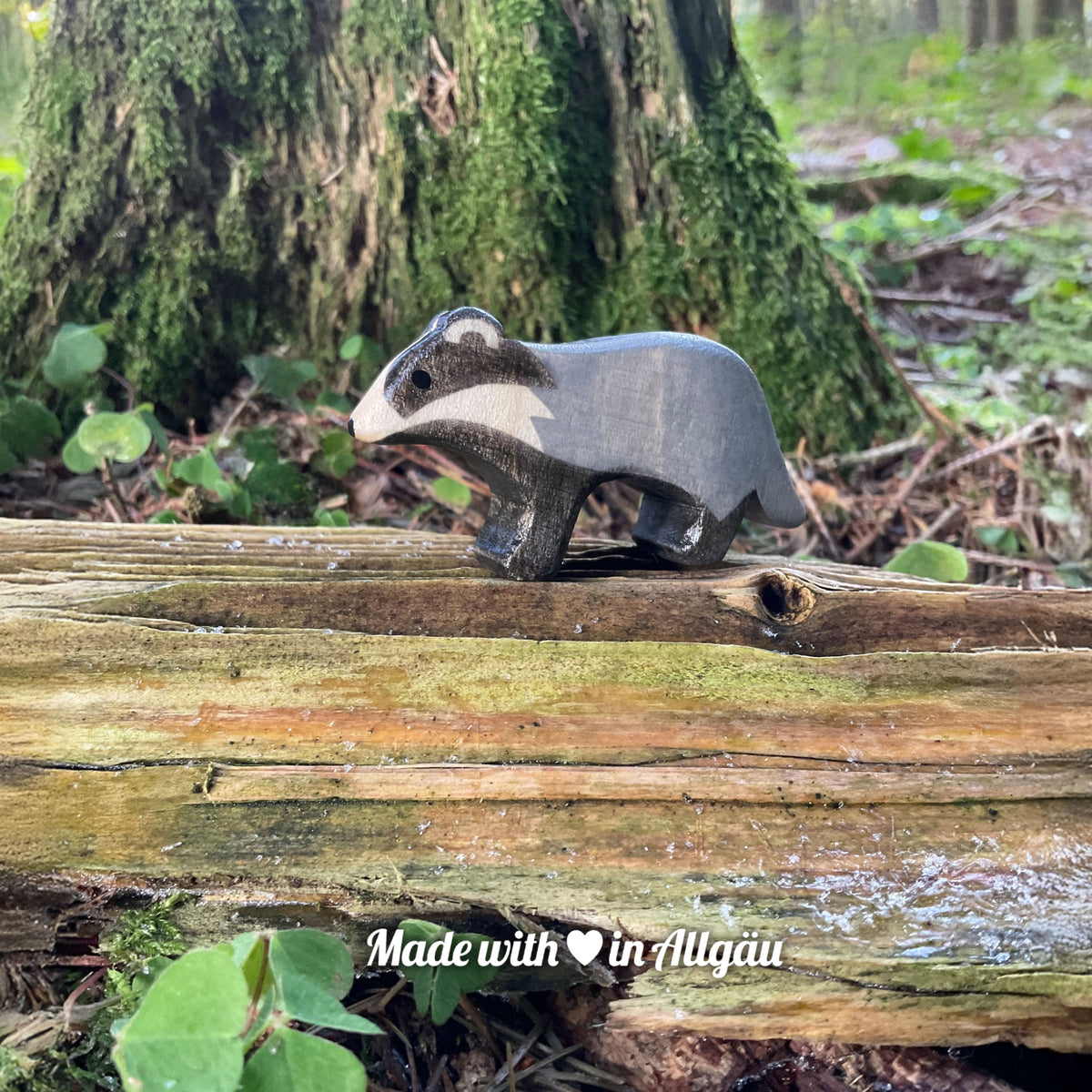 Handgefertigtes Holzspielzeug Dachs-Baby grau stehend von Allgäuer Holztiere, auf bemoostem, verwittertem Holz in natürlicher Waldlandschaft platziert, aus bayerischem Ahornholz gefertigt, grau und schwarz mit pflanzlichen Farben bemalt, im Allgäu produziert und für Kinder ab 3 Jahren geeignet.